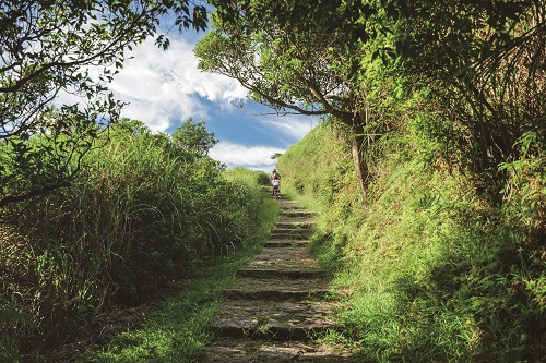 夢幻湖往星七星東峰山徑能觀察到豐富的動植物，值得慢慢品味 ／楊懷智攝